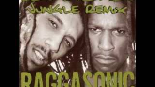 RAGGASONIC Les Riches (Original Jungle Remix)