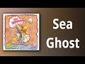 The Unicorns // Sea Ghost