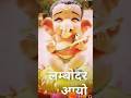 गणपती डेकोरेशन Ganpati Shortvideo Cute Status Trrnding Raj Rajkibaat Fyp�