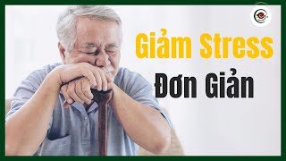 Trà Shan Tuyết Giúp Giảm Stress