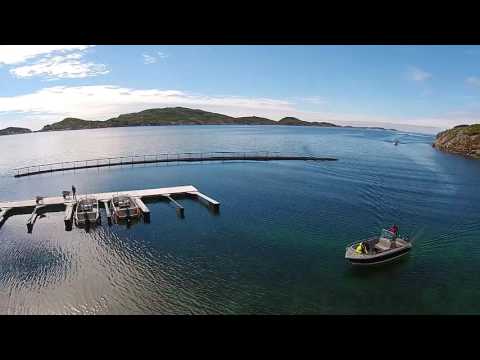 Din Tur seafishing destination - Solvika sjøhus