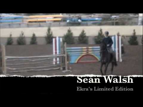 Seán Walsh Showjumping-Ekra's Limited Edition
