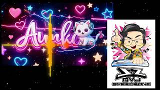 Download lagu Dj Speedzone x Dj Aunko Vinabounce Yearmix mp3