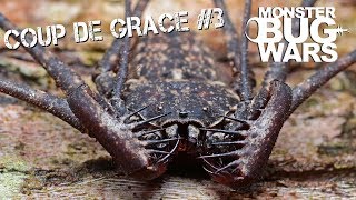 Download lagu MONSTER BUG WARS | Coup De Grace Collection #3 mp3 Download lagu MONSTER BUG WARS | Coup De Grace Collection #3 mp3