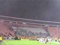 DELIJE Crvena Zvezda Slovan Liberec