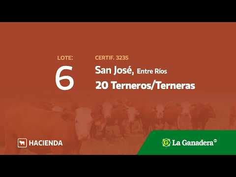 Lote Terneros/Terneras San José