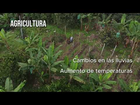 ¿Qué es la adaptación al cambio climático y cómo se aplica en el territorio?
