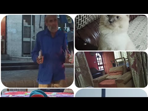 Armeen mary sath a gai/liberty say icecream khai/dost kay ghar gai/@sadaf vlogs and kitchen