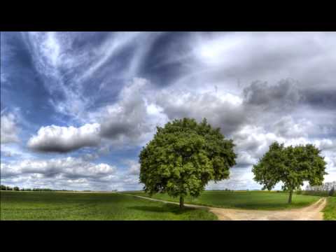 Wise hand; Nouri - Safi