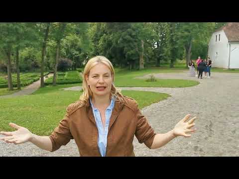 Castelul din Micloşoara, de la ruină la obiectiv de vizitat