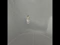 878450 Lot of rough diamonds approx. 8.75 ctv }}