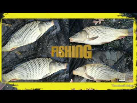 kersh|FISHING|(no OFICIAL VIDEO)