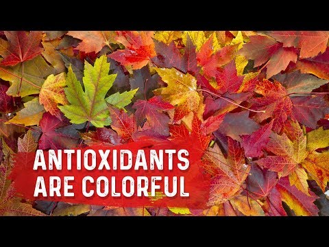 An APPLE a Day Will NOT Let Your Weight Go Away – Dr Berg