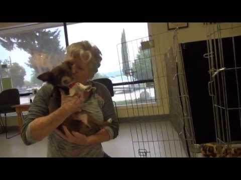 LOVE CONNECTIONS RESCUE LIVES