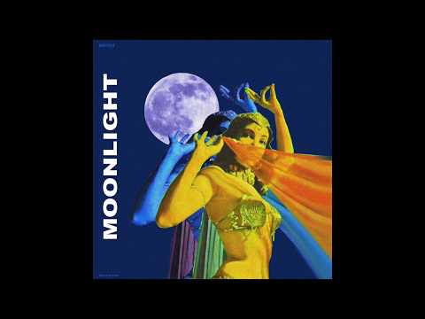 Moonlit Bayou