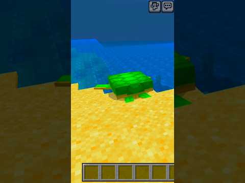 THE VIDEO ENDS IF I SEE A TURTLE!!! 🐢😱😱 #minecraft