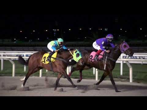 210925 c09 ALCE MOSS