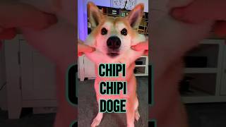 Chipi Chipi Chapa Chapa Doge ULTIMATE MEME MASHUP 4 #doge #cutenessoverload #memes