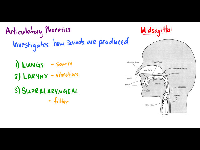 Understanding Phonetics: An Introduction to Sound Production and ...