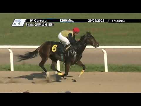 CARRERAS SINT 220929 c09 - 1° LIKE NO OTHER (ARG)