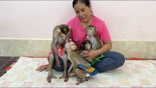 Download lagu Eternal Love!! Sister Jula Come Up To Give Brother Sovan Warm K-I-S-S With Much Love & Affection, mp3