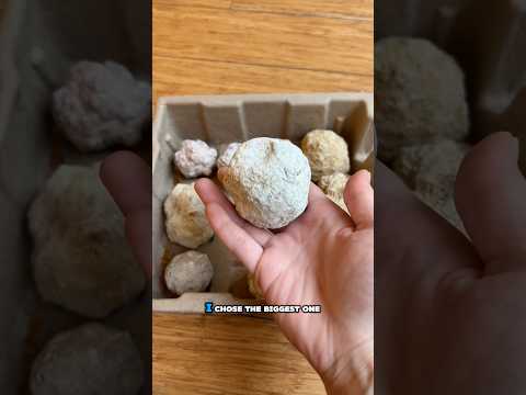 Cracking 10 geodes open to see what lives inside!