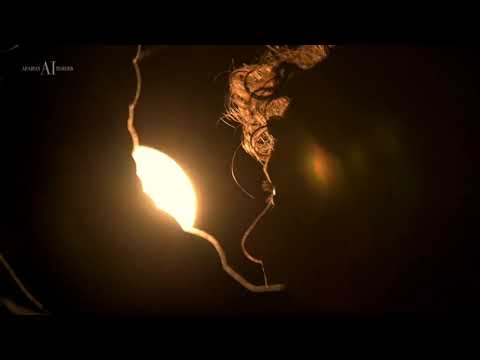 SIWAR AL SHAQAB - Al Shaqab Member of Qatar Foundation