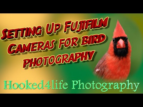 Setting up Fujifilm cameras for bird photography
