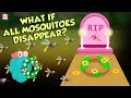 What If All Mosquitoes Disappear World Without MOSQUITOES The Dr Binocs Show Peekaboo Kidz