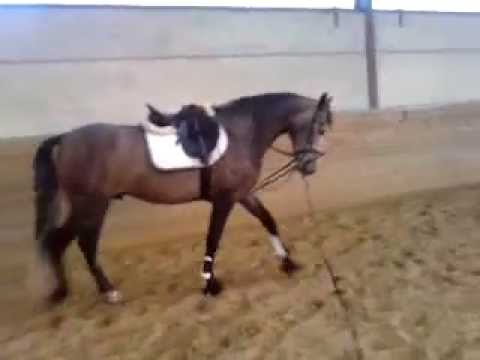 Ecuador au travaille