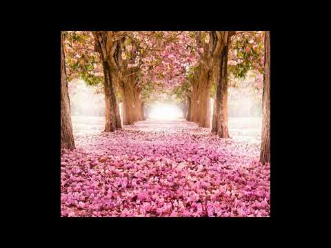 Hikari (off vocal) - Saeko Chiba