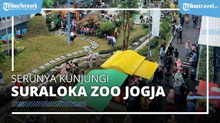 Kebun Binatang Baru di Yogyakarta, Suraloka Zoo Tawarkan Satwa Menarik & Permainan Seru untuk Dicoba