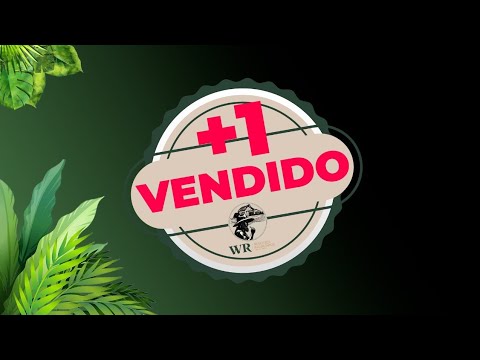 🌊Sítio 3 Alqueires Plano com Rio, APENAS R$: 200 MIL em Sete Barras, SP - Vale do Ribeira 🌿