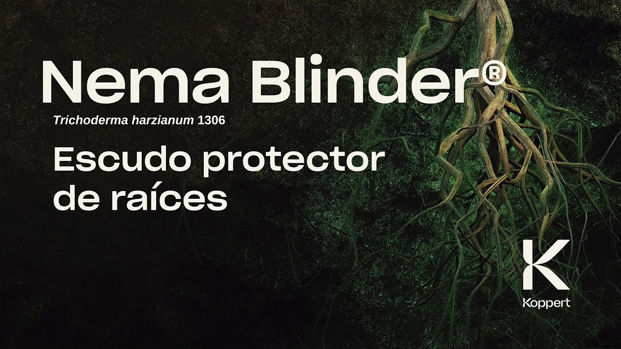 Video preview poster