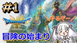 【ドラゴンクエストⅢ　リメイク】ロトの物語ってここから始まったんですか？＃１