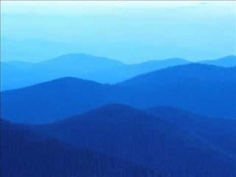 Cica Blagojevic-kace flor prepo ment.wmv