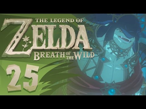 The Legend of Zelda: Breath of the Wild - Part 25 - King Dorephan! (Gameplay Walkthrough)