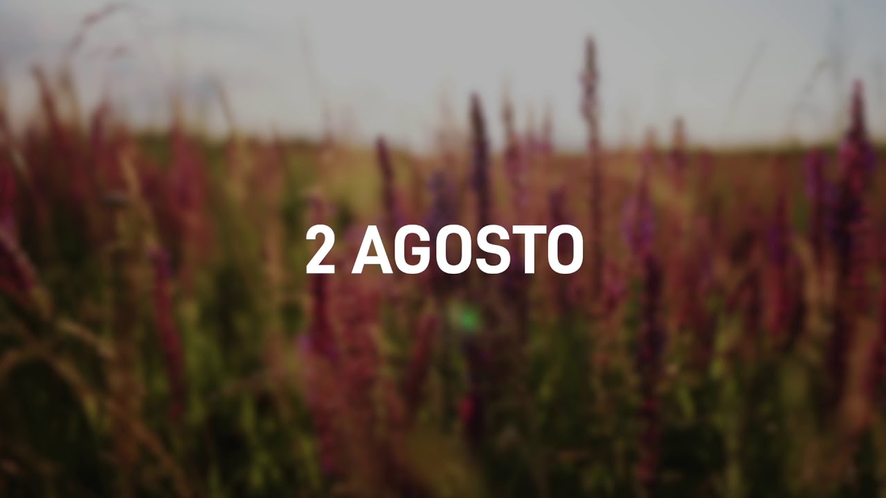 2 Agosto 2025 | Meditazione Parole di Vita