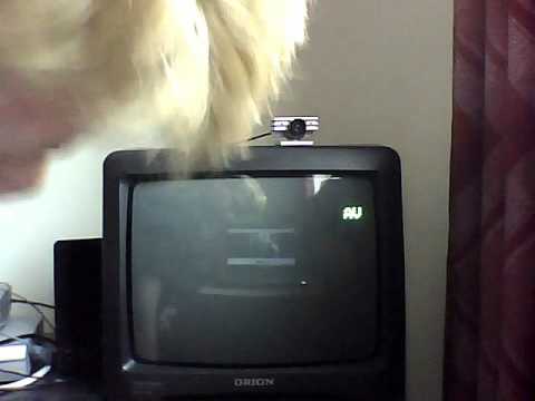 EyeToy : Chat Playstation 2