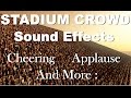Stadium Crowd Sound Effects One Hour HQ