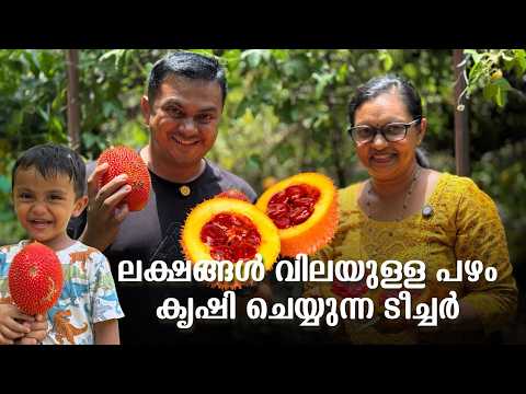 GAC Fruit & Dragon Fruit Farming in Kerala | ലക്ഷങ്ങൾ വിലയുള്ള പഴങ്ങൾ കൃഷി ചെയ്യുന്ന ടീച്ചർ