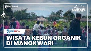 Marina Farm, Wisata Ramah Anak di Manokwari Tawarkan Aktivitas Agrowisata dan Interaksi dengan Satwa