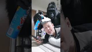 スマホばっかり見てるからゴリラに制裁を食らうw