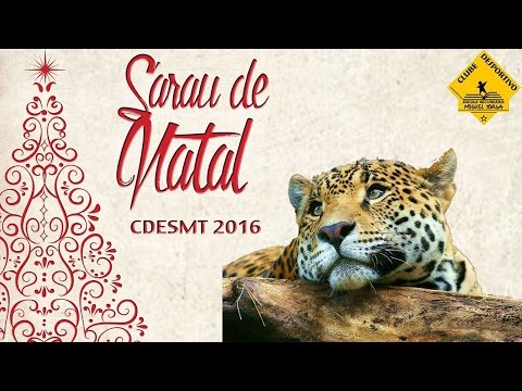 XI Sarau de Natal CDESMT 2016 -  Leopardos