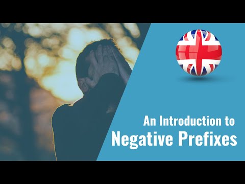 An Introduction to Negative Prefixes