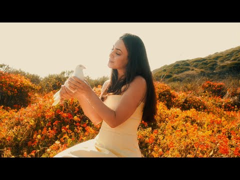 Vuela Paloma - (Video Oficial) - Cheli Madrid - MDRD Music 2025