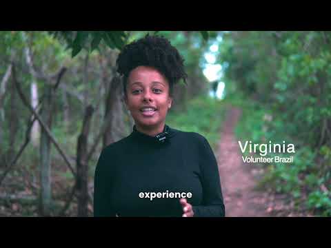 Etta Projects - Jipijapa Palm with Artecampo