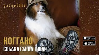 Ноггано - Собака съела товар