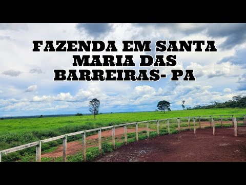 FAZENDA NO MUNICÍPIO DE SANTA MARIA DAS BARREIRAS-PA 