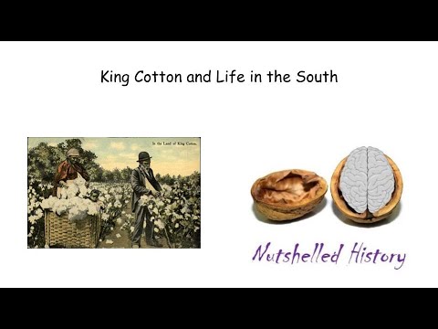 King Cotton and Life in the South - Nutshelled Early American History
